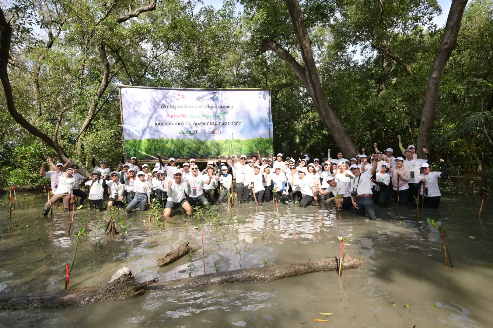 Asiatic Launches “Asiatic Green Hearts for Mangrove Reforestation” Program